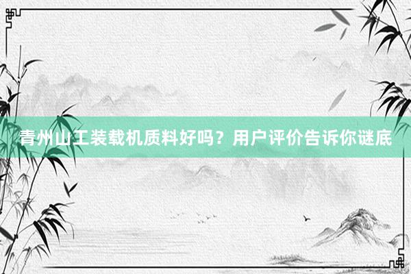 青州山工装载机质料好吗？用户评价告诉你谜底