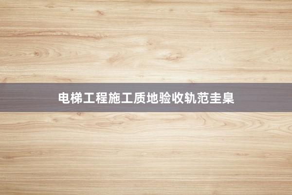 电梯工程施工质地验收轨范圭臬