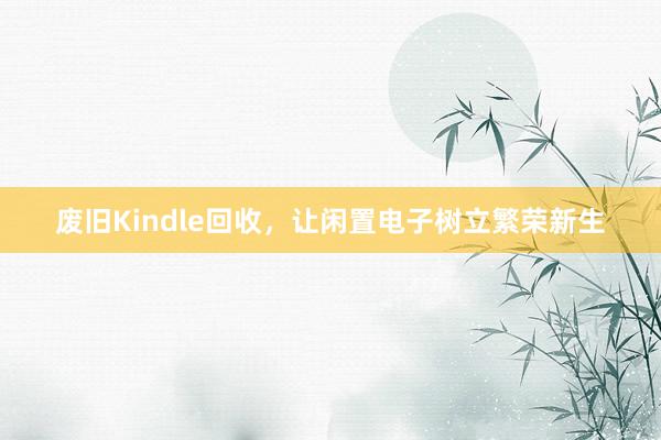 废旧Kindle回收，让闲置电子树立繁荣新生